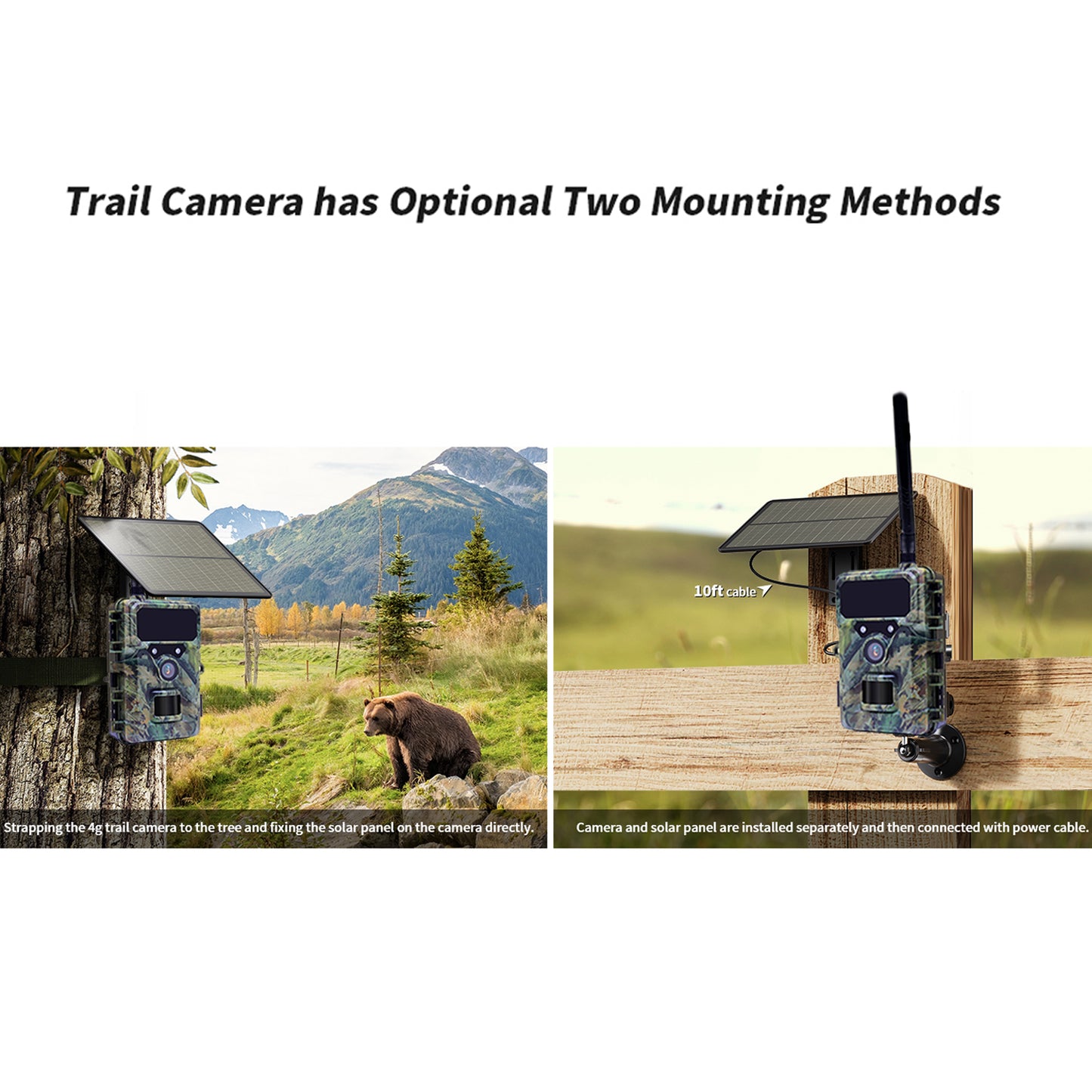 DNNinCam AI TCAI1 - 4G Solar Trail Camera