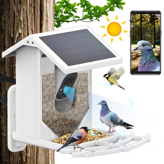 PATIOCAM 2L AI Solar Bird Feeder with Camera