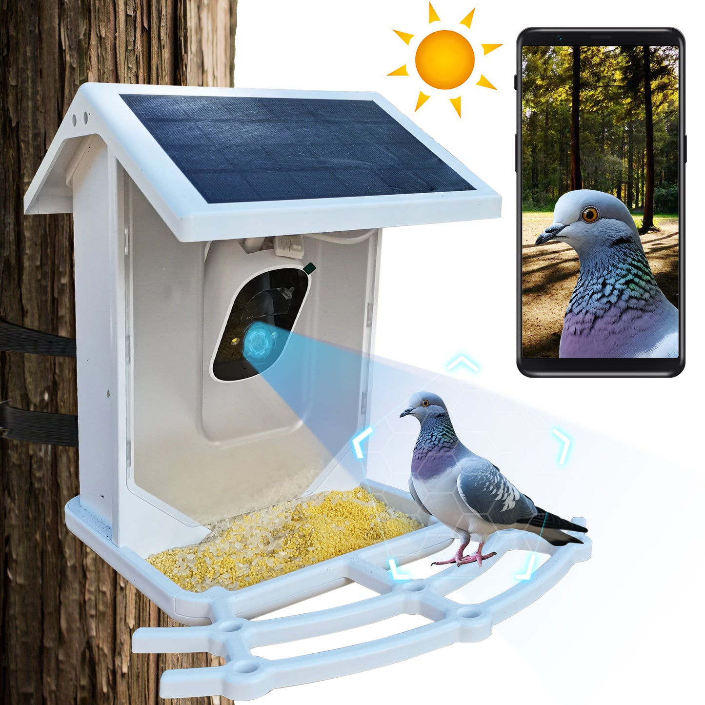 VIBROWL 2L AI Solar Bird Feeder with Camera