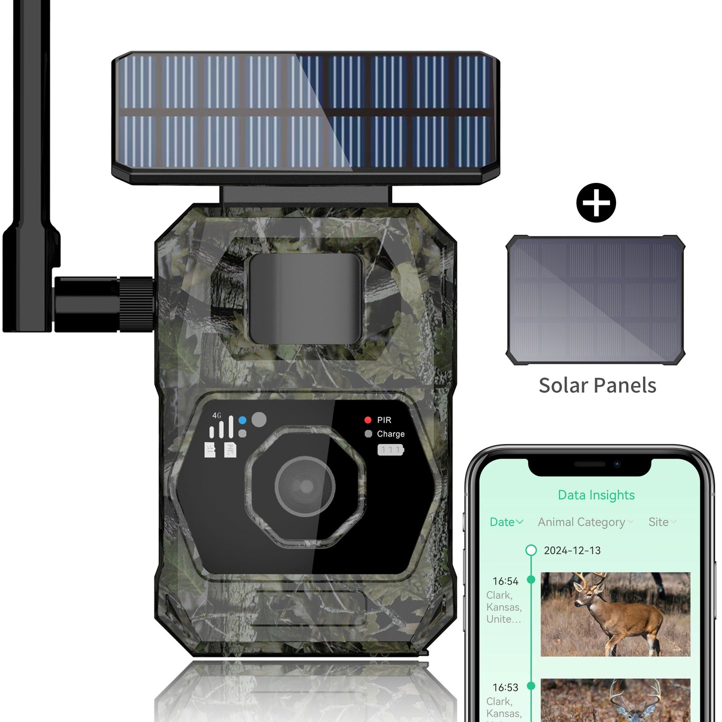DNNinCam AI TCAI2 - 4G Solar Trail Camera