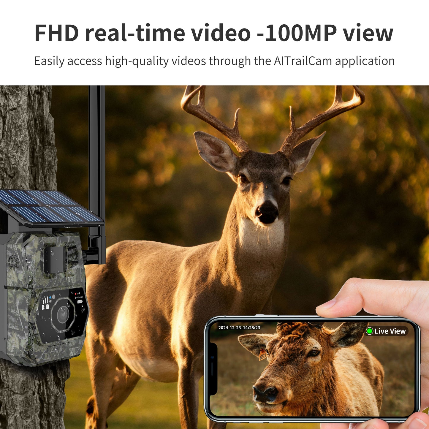 DNNinCam AI TCAI2 - 4G Solar Trail Camera