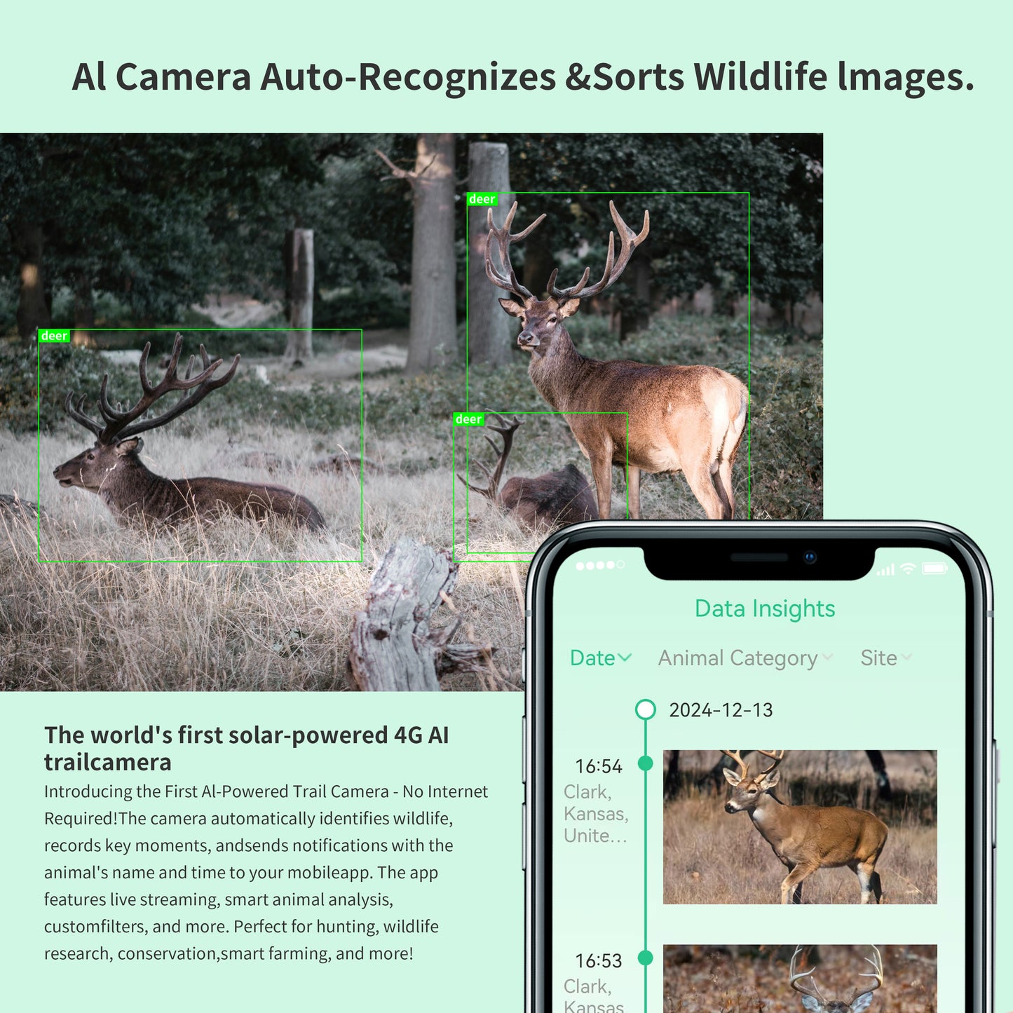 DNNinCam AI TCAI2 - 4G Solar Trail Camera
