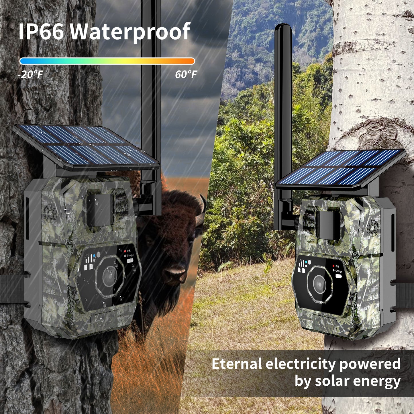 DNNinCam AI TCAI2 - 4G Solar Trail Camera