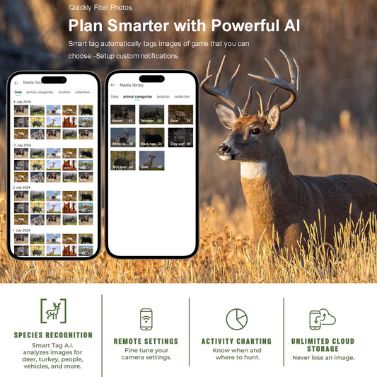 DNNinCam AI TCAI1 - 4G Solar Trail Camera