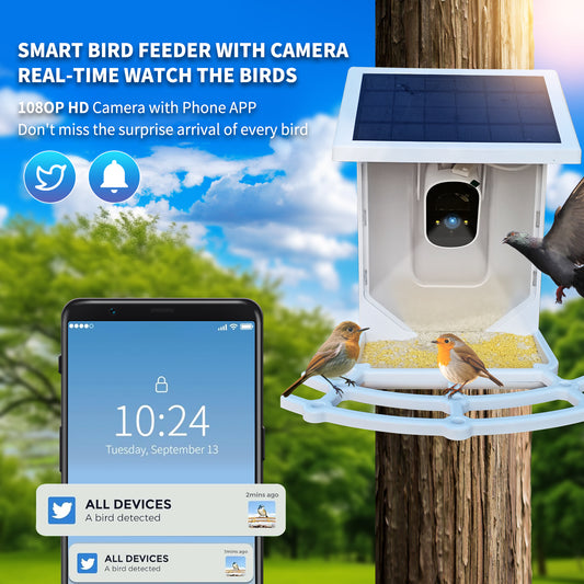 VIBROWL 2L AI Solar Bird Feeder with Camera