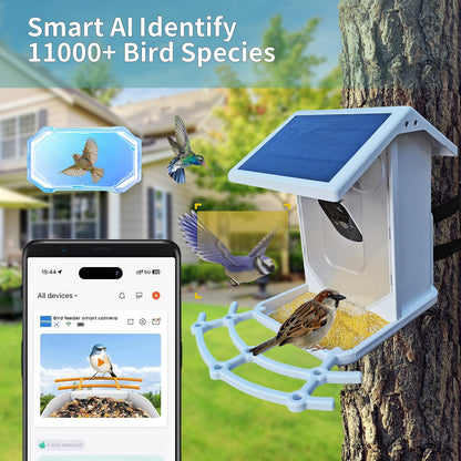 2L AI Solar Bird Feeder with Camera